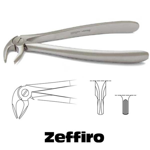 FORCEP CURVO SOBRE EL BORDE FINO ZFS130 ZEFFIRO